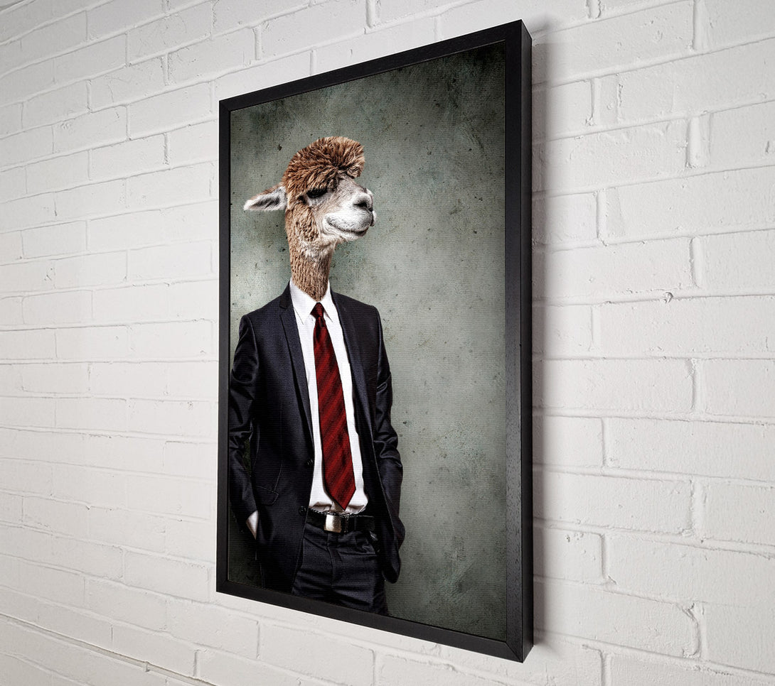  A Canvas Print of Business Llama Canvas Print