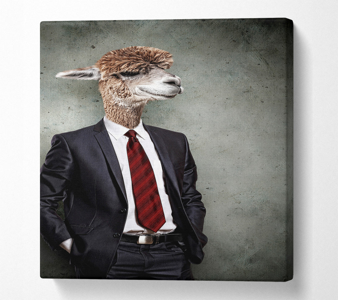  A Canvas Print of Business Llama Canvas Print