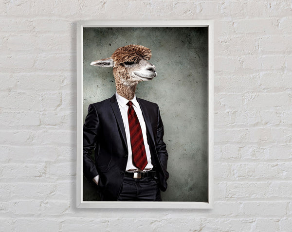 Business Llama Framed Print