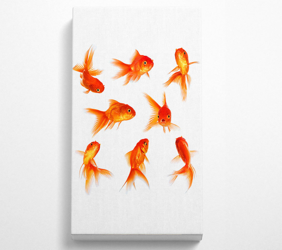  A Canvas Print of Goldfish Party Canvas Wall Art