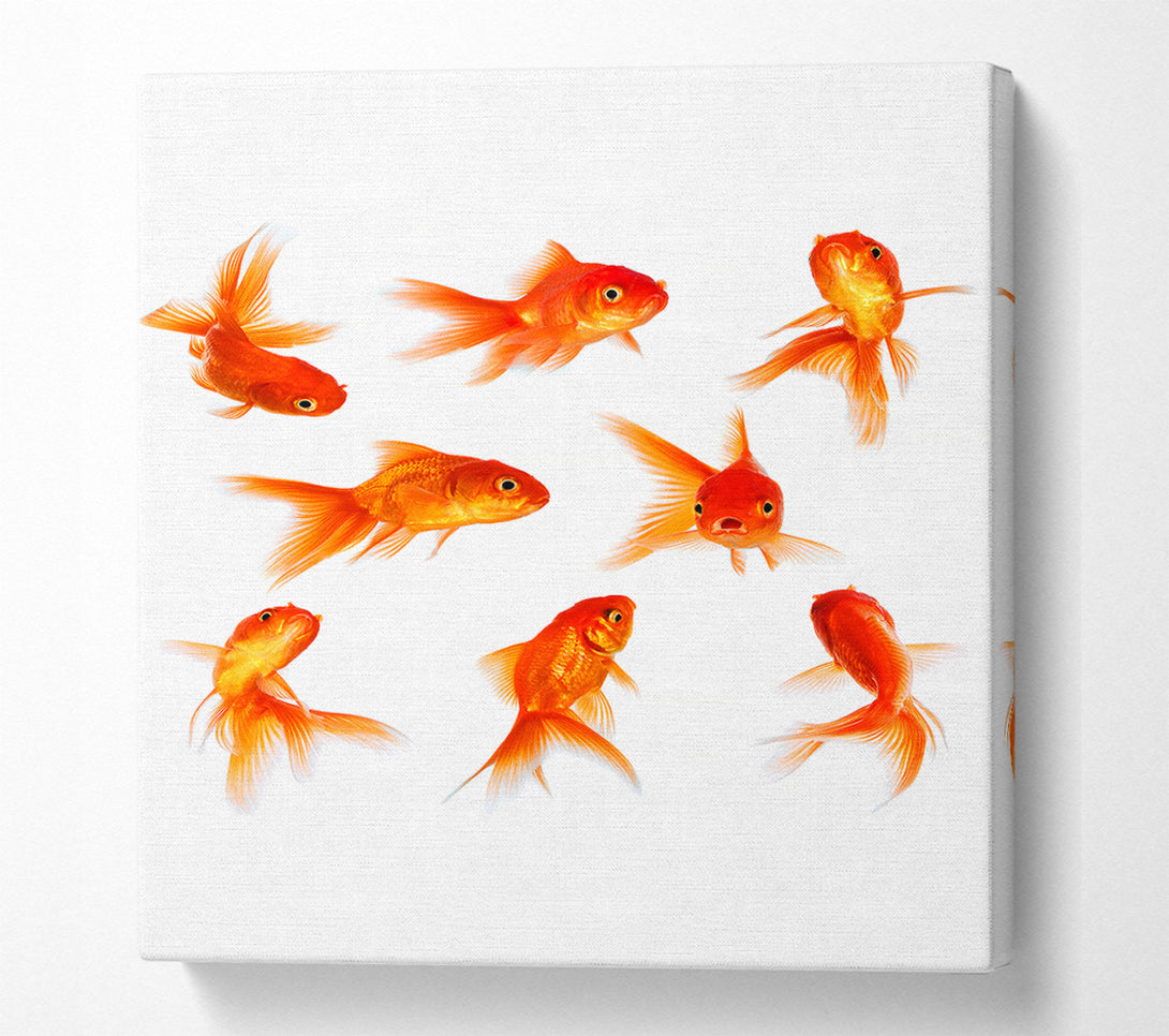  A Canvas Print of Goldfish Party Canvas Wall Art