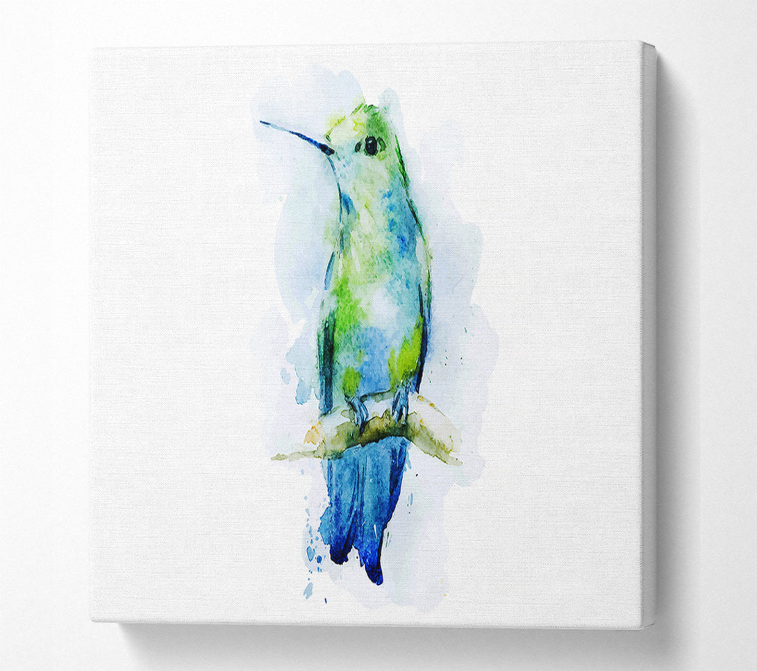  A Canvas Print of Hummingbird Branch Canvas Wall Art