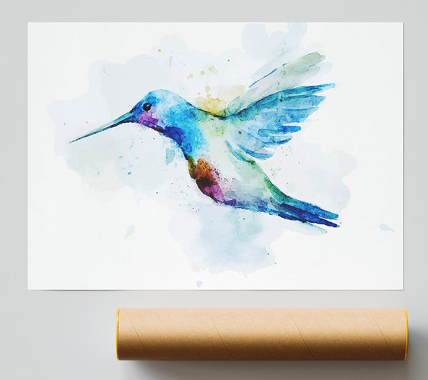 Hummingbird Splash Giclee Print