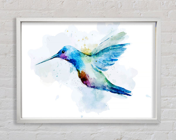Hummingbird Splash Framed Print