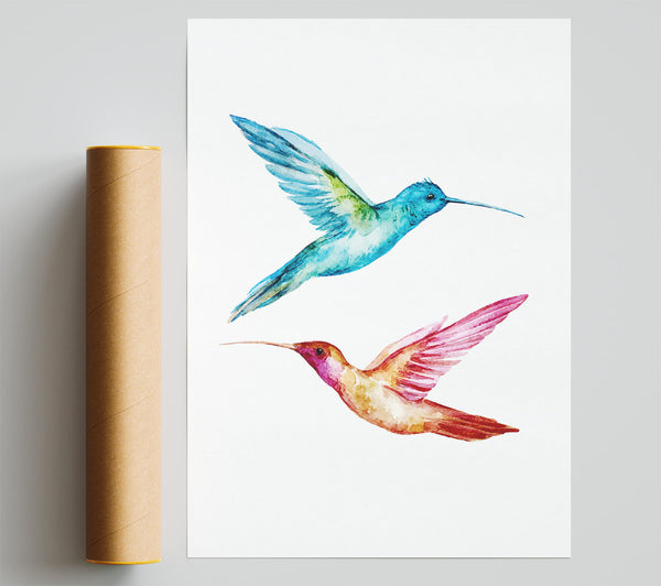 Hummingbird Duo Print