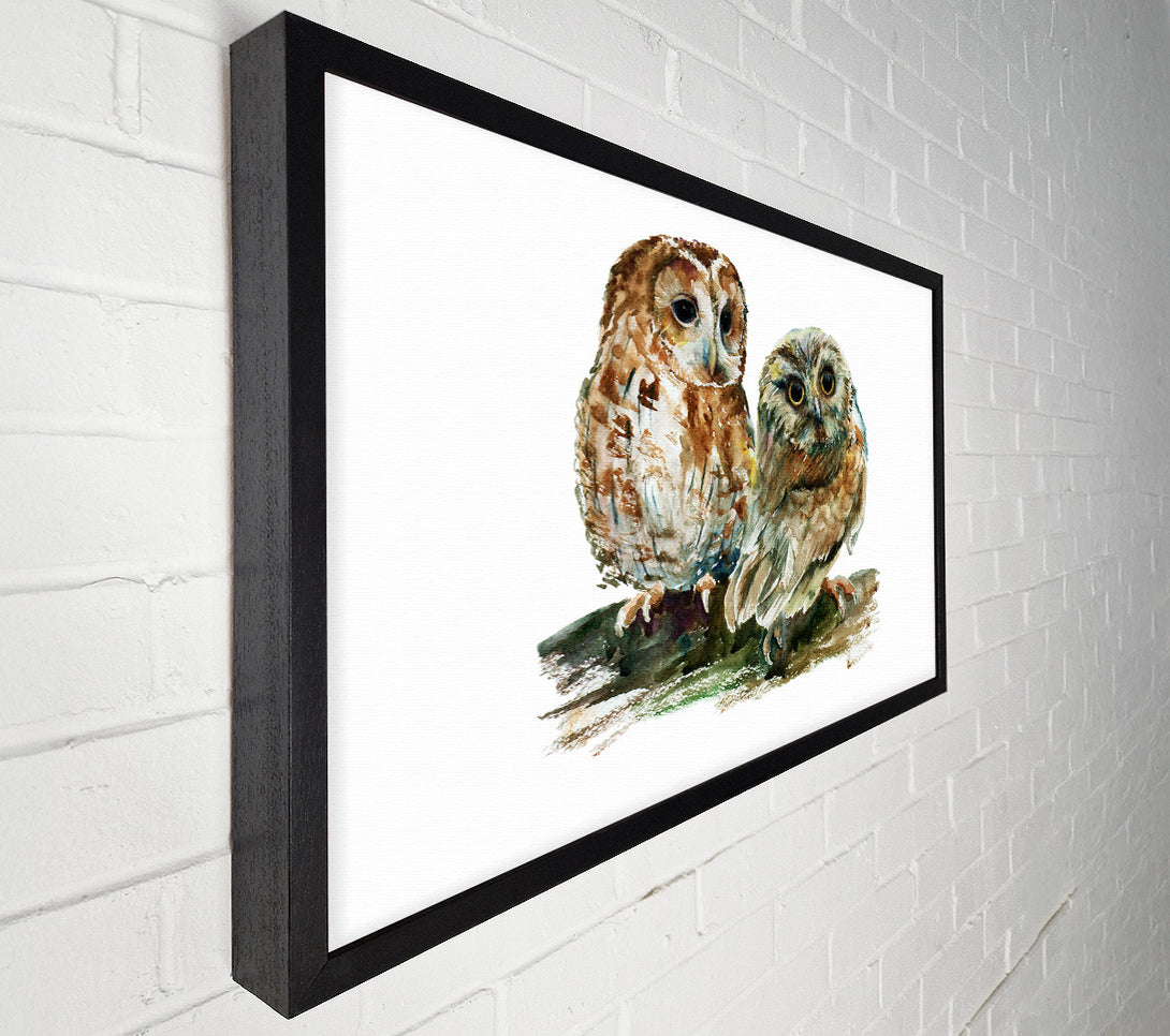  A Canvas Print of Barred Owl Duo Canvas Print