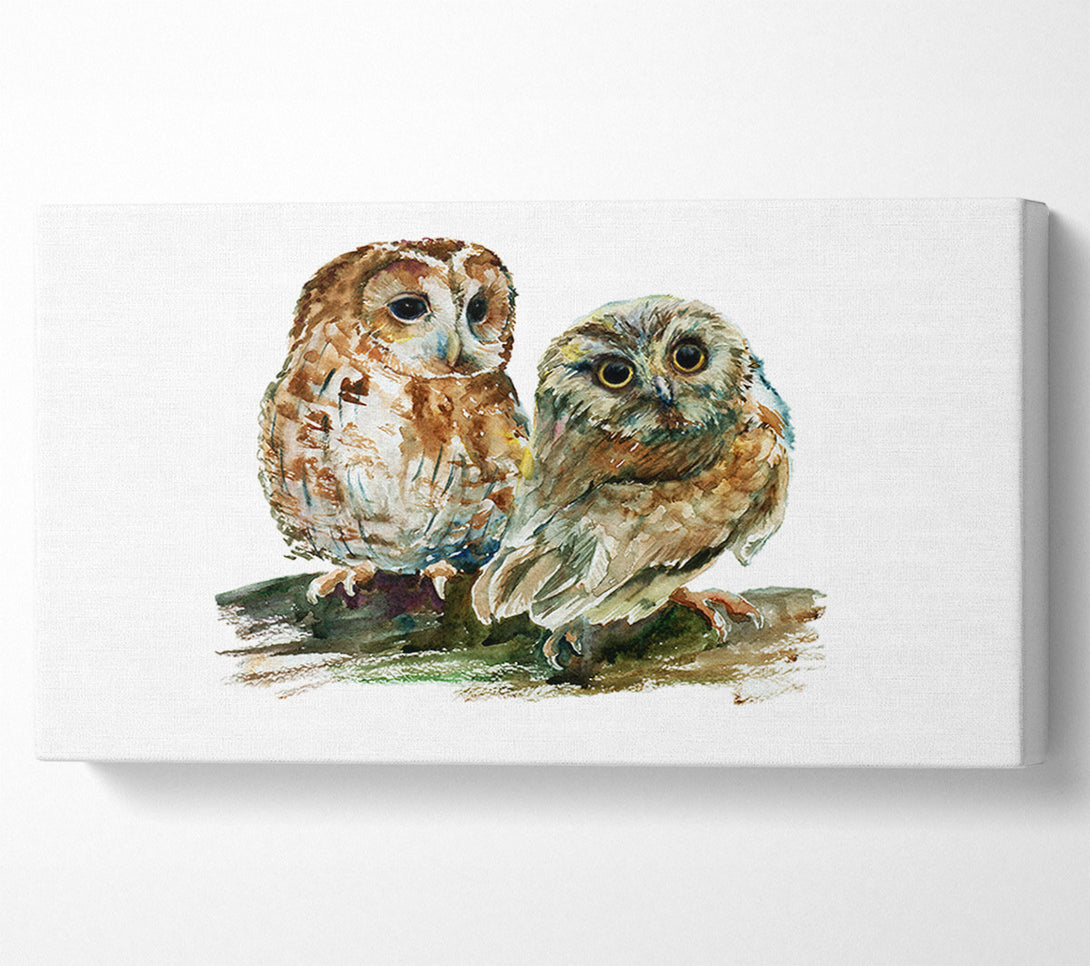  A Canvas Print of Barred Owl Duo Canvas Print