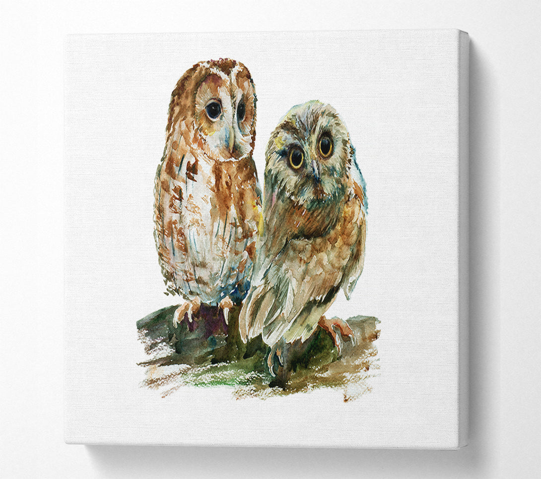 A Canvas Print of Barred Owl Duo Canvas Print
