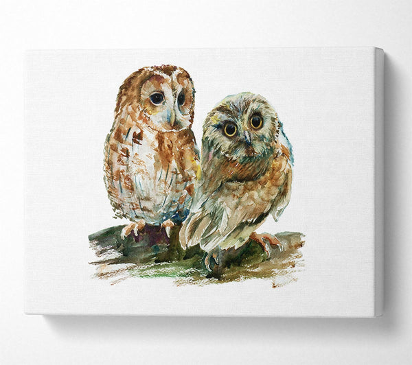  A Canvas Print of Barred Owl Duo Canvas Print