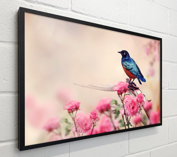 Blue Bird In The Cherry Blossom
