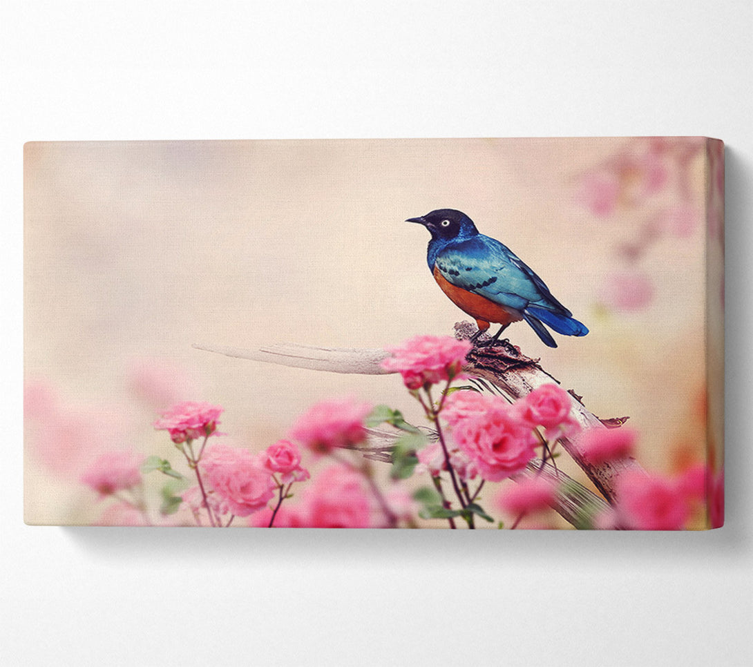  A Canvas Print of Blue Bird In The Cherry Blossom Canvas Art