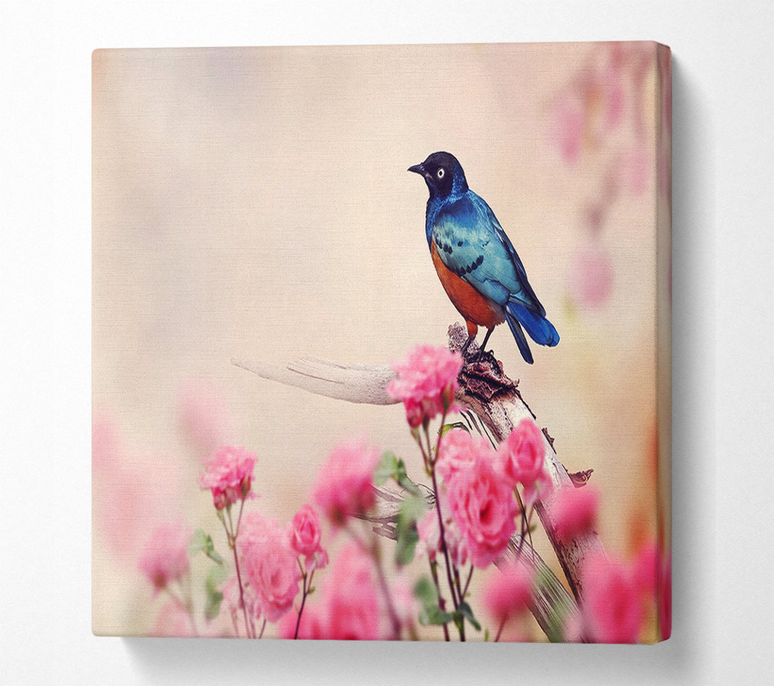  A Canvas Print of Blue Bird In The Cherry Blossom Canvas Art