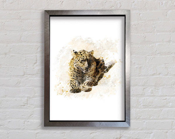 Leopard Spots Framed Print