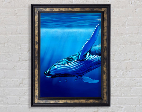 Whale Blues Framed Print