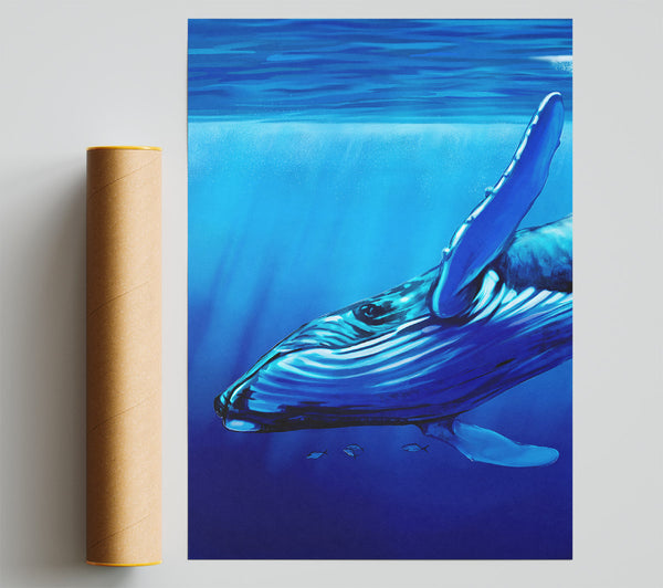 Whale Blues Print
