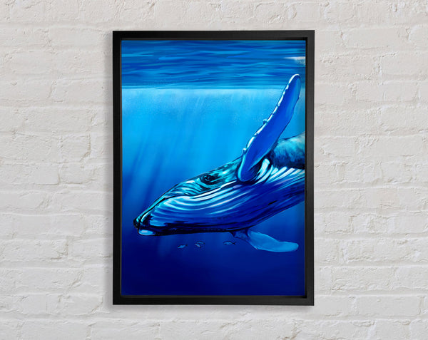 Whale Blues Framed Print