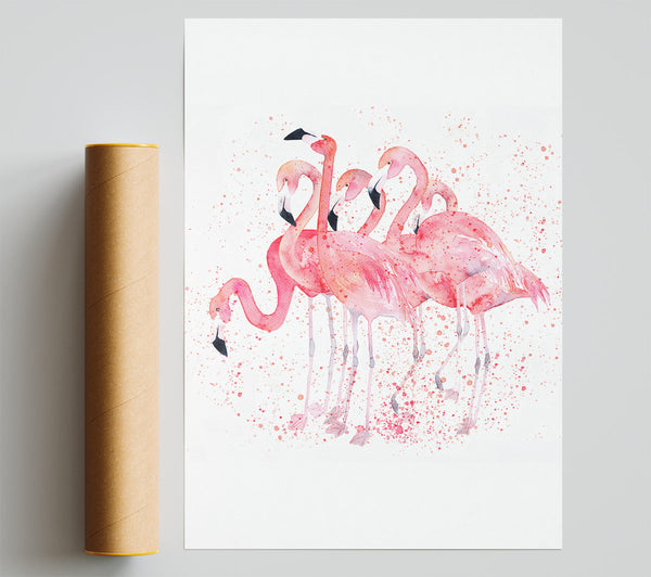 Pink Flamingo Splash Print