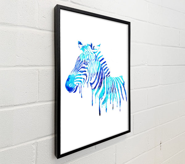 Blue Zebra