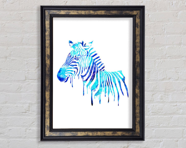 Blue Zebra Framed Print