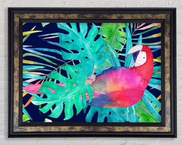 Parrot Jungle Framed Print