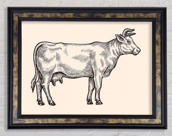 Hereford-Kuh