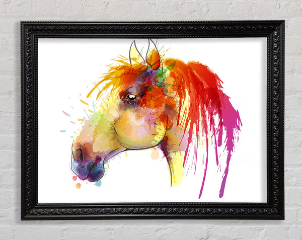Beautiful Rainbow Horse Framed Print