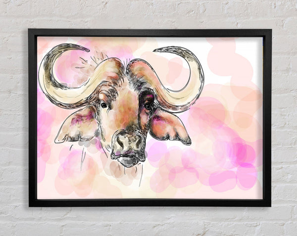 Texas-Longhorn-Kuh
