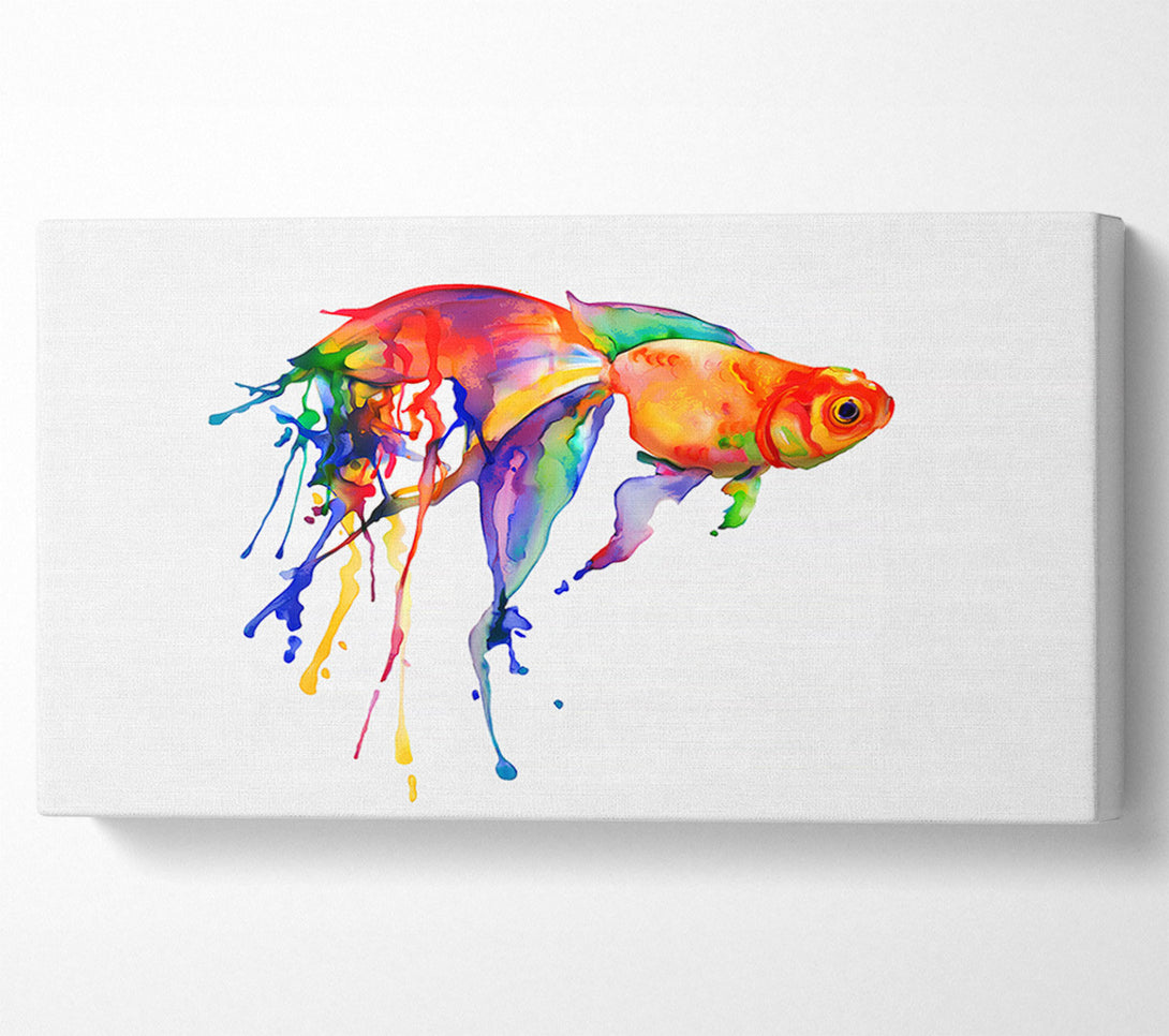  A Canvas Print of Rainbow Goldfish Canvas Wall Art