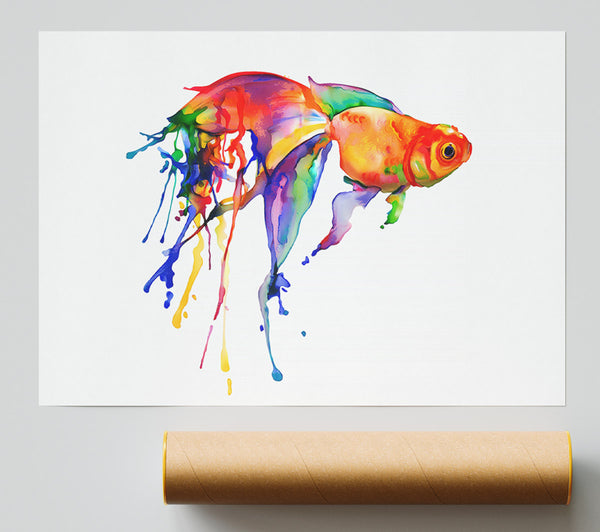 Rainbow Goldfish Giclee Print