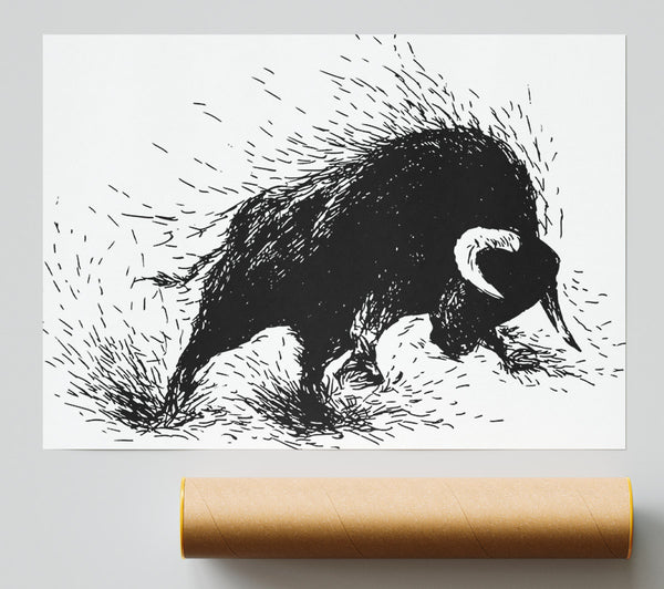 Bull Attack Print