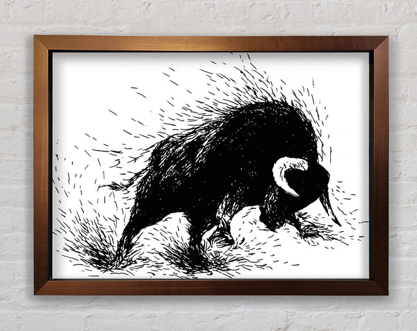 Bull Attack Framed Print