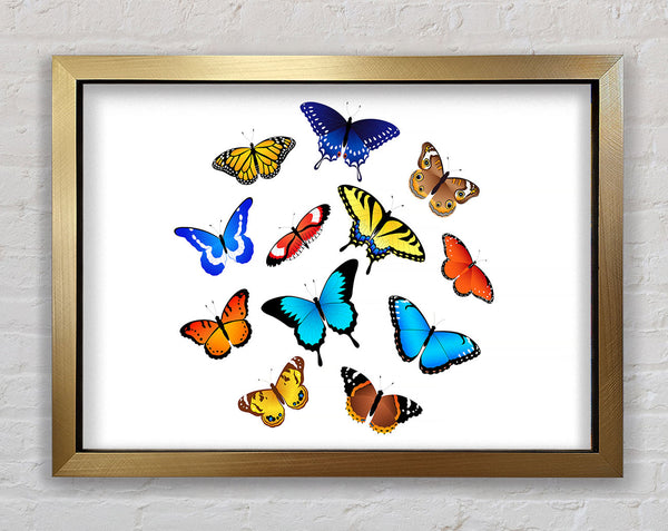 Colourful Butterflies Framed Print