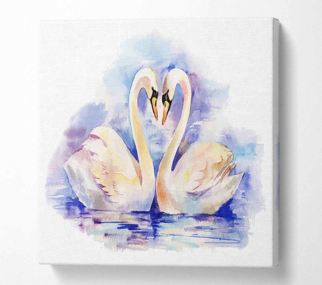  A Canvas Print of Swan Love Canvas Wall Art