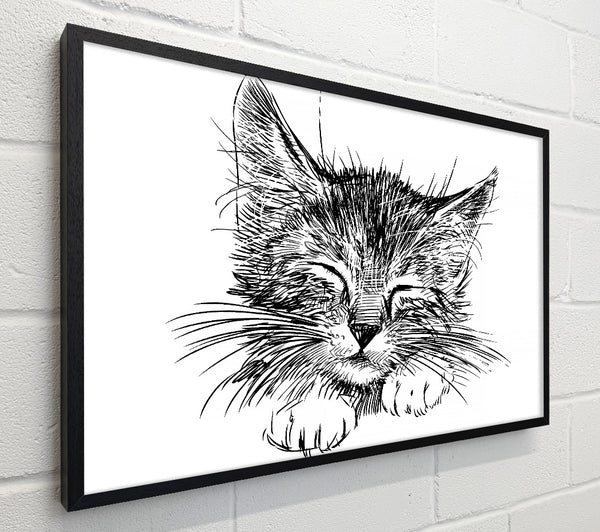 Cute Kitten Face