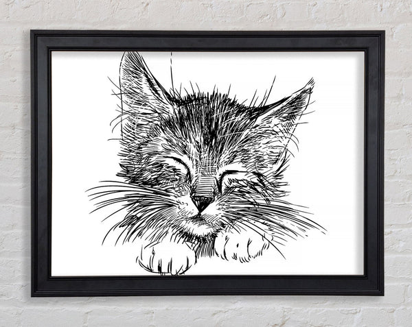 Cute Kitten Face Framed Print