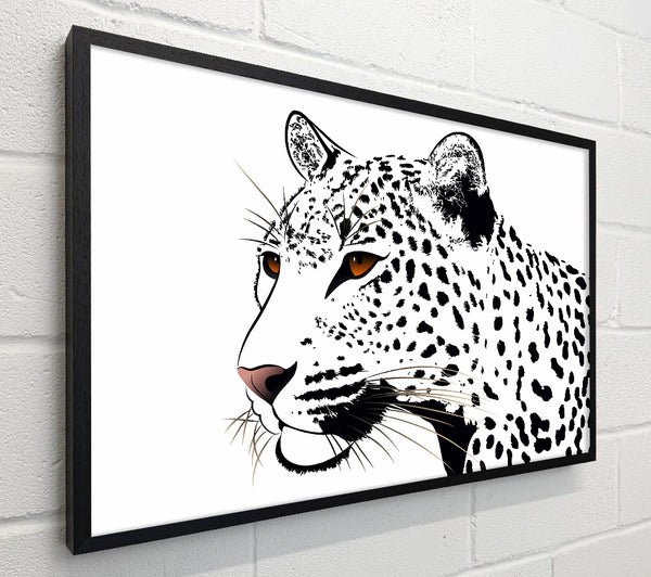 Leopard Eyes
