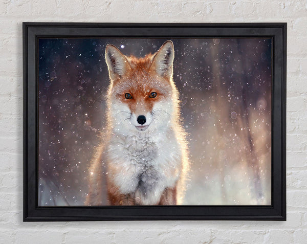 Fox In Winter Framed Print