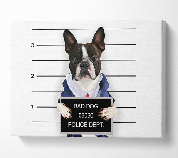  A Canvas Print of Naughty French Bulldog Canvas Print