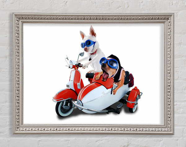 Chihuahua Sidecar Mayhem Dogs Framed Print