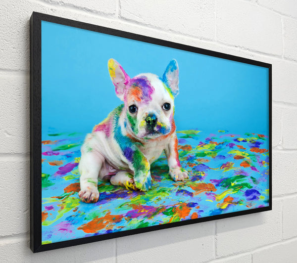 French Bulldog Paint Party