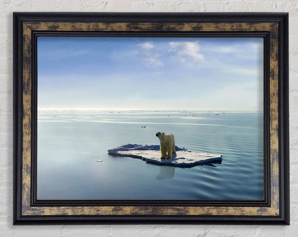 Floating Polar Bear Framed Print