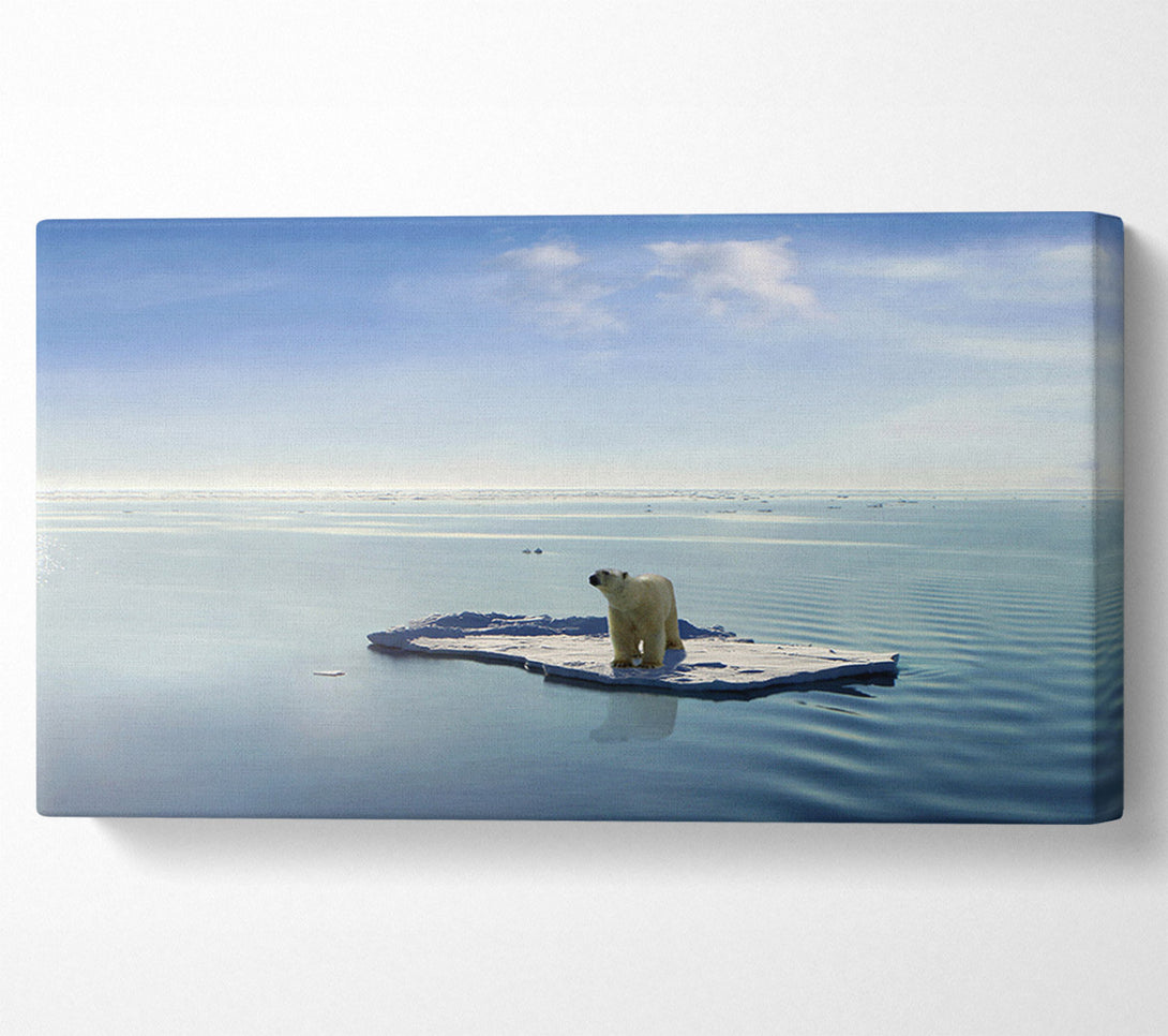  A Canvas Print of Floating Polar Bear Canvas Wall Art