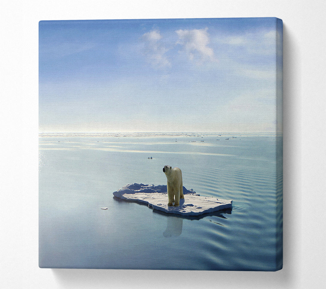  A Canvas Print of Floating Polar Bear Canvas Wall Art