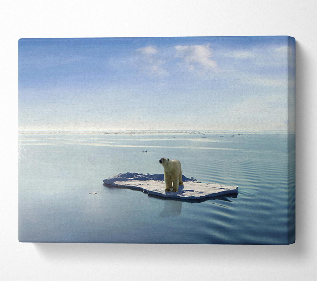  A Canvas Print of Floating Polar Bear Canvas Wall Art