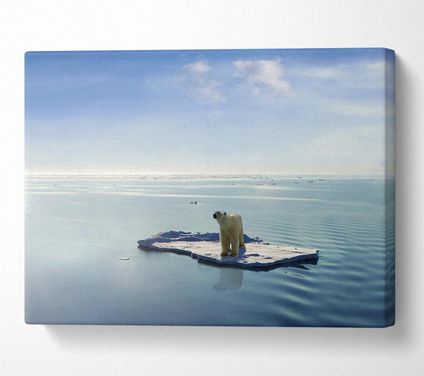 A Canvas Print of Floating Polar Bear Canvas Wall Art