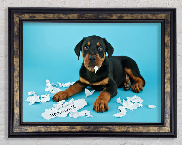 Naughty Rottweiler Puppy Dog Framed Print
