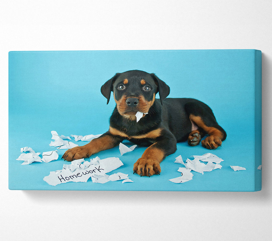  A Canvas Print of Naughty Rottweiler Puppy Dog Canvas Art