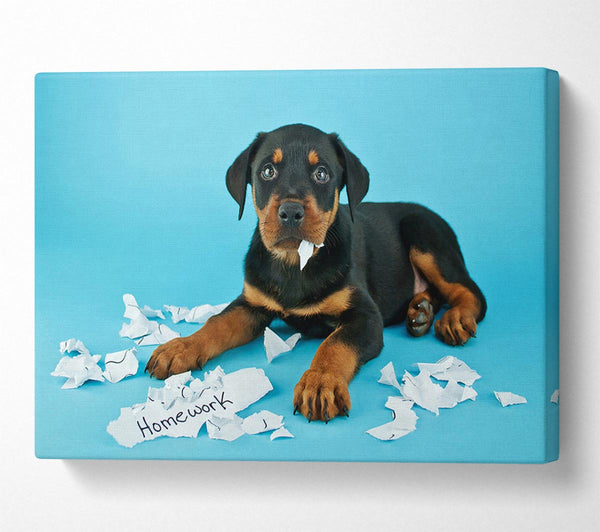  A Canvas Print of Naughty Rottweiler Puppy Dog Canvas Art