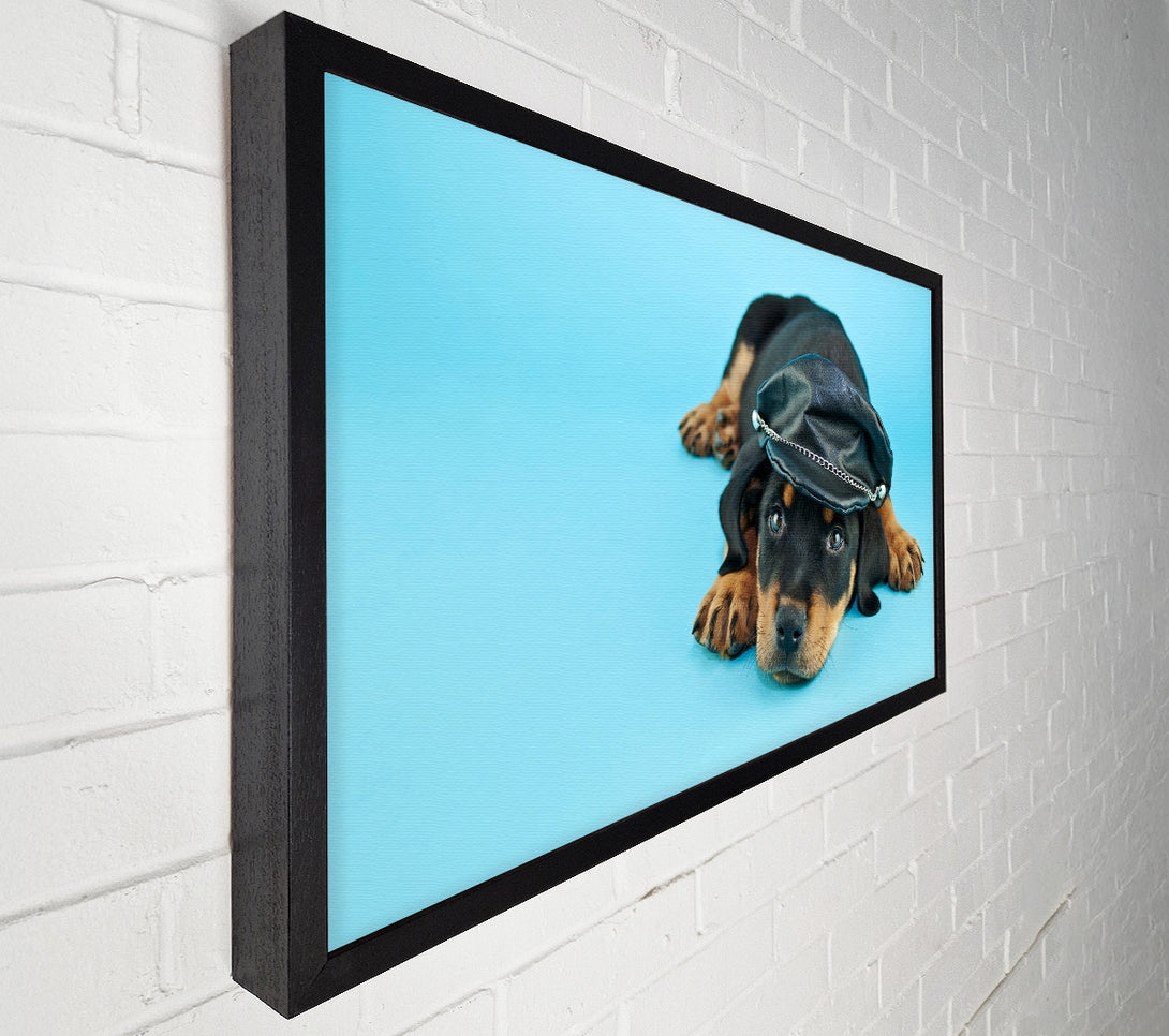  A Canvas Print of Rottweiler Puppy Dog Hat Canvas Wall Art