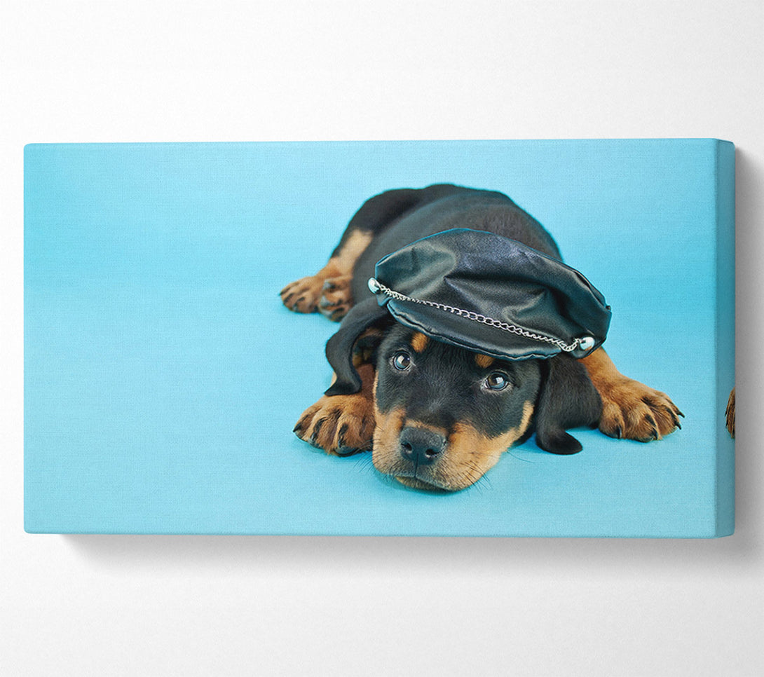  A Canvas Print of Rottweiler Puppy Dog Hat Canvas Wall Art